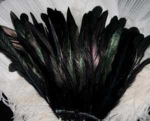 Black Iridescent Rooster Coque Tail Feathers